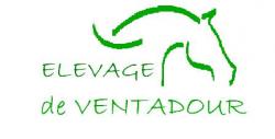 elevage ventadour 2.JPG